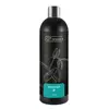 GT Aqua Booster P [500ml] - naw�z fosforowy
