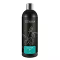 GT Aqua Booster P [500ml] - naw�z fosforowy