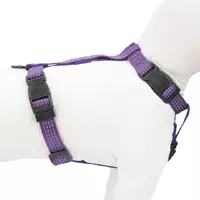 Hap Szelka Comfort Ref Fiol M