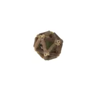 Hap Zab Matatabi Piłka 6,5cm