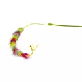 Hap Zab Wilma W�d. Z Dzwon 42cm