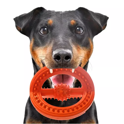 HappyPet Frame Ball - gumowa pi�ka