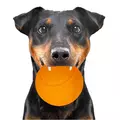 HappyPet Glow Balls - piszcz�ca pi�ka