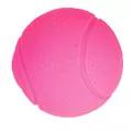 HappyPet Glow Balls - piszcz�ca pi�ka