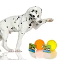HappyPet Glow Balls - piszcz�ca pi�ka