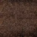 Humus: Naturalne pod�o�e do terarrium, 10l
