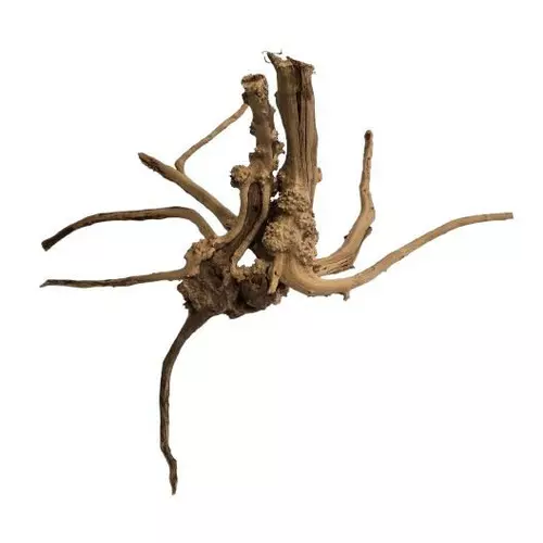 Ikola Korze� Slim Wood 10-50cm
