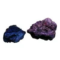 Ikola Ska�a Magic Volcano Black