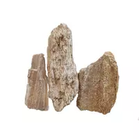 Ikola Ska�a Red Wood Fossil