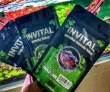 INVITAL Bottom tablets 100ml