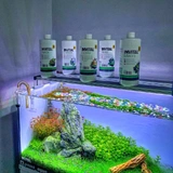 INVITAL Fosfo 250ml