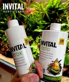 INVITAL Fosfo 250ml