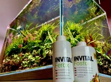 INVITAL Fosfo 250ml