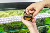 INVITAL Instant Artemia 100g