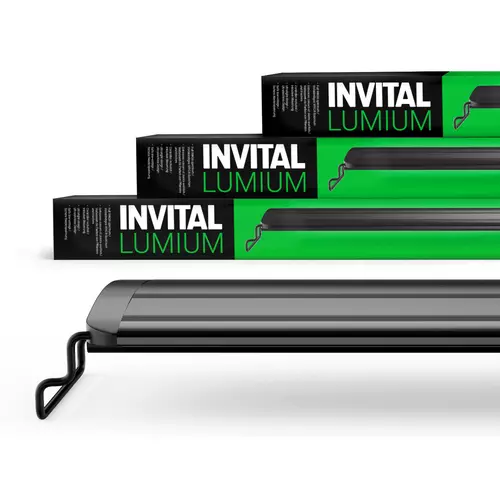 INVITAL Lumium WRGB60 55cm 16W