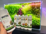 INVITAL Macro 250ml