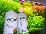 INVITAL Macro 250ml