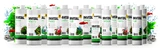 INVITAL Nitro 250ml