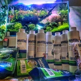 INVITAL Nitro 250ml