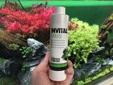 INVITAL Nitro 500ml