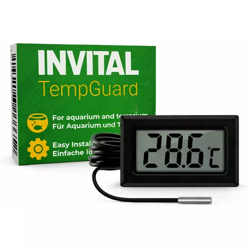 INVITAL TempGuard cyfrowy termometr
