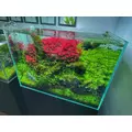 INVITAL TENSO Micro 17g