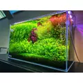 INVITAL TENSO Micro 17g