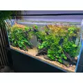 INVITAL TENSO Micro 17g