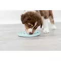 Junior taca na smako�yki Licking Plate, �r.15cm