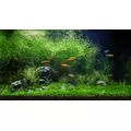 Karel RATAJ Volcano Red [2l] 2-5mm - pod�o�e na bazie wulkanicznej - czerwone