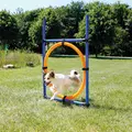 Ko�o Zr�cznosciowe 78x115cm