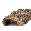 KOREK P�ATY, 10kg