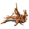 Korze� japo�ski J-ROOTS M (1 sztuka) - do akwarium 50-100l