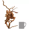 Korze� japo�ski J-ROOTS M (1 sztuka) - do akwarium 50-100l