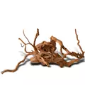 Korze� japo�ski J-ROOTS M (1 sztuka) - do akwarium 50-100l