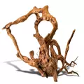 Korze� japo�ski J-ROOTS M (1 sztuka) - do akwarium 50-100l