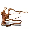 Korze� japo�ski J-ROOTS M (1 sztuka) - do akwarium 50-100l