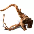 Korze� japo�ski J-ROOTS M (1 sztuka) - do akwarium 50-100l
