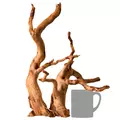 Korze� japo�ski J-ROOTS M (1 sztuka) - do akwarium 50-100l