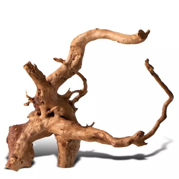 Korze� japo�ski J-ROOTS S (1 sztuka) - do akwarium 10-30l