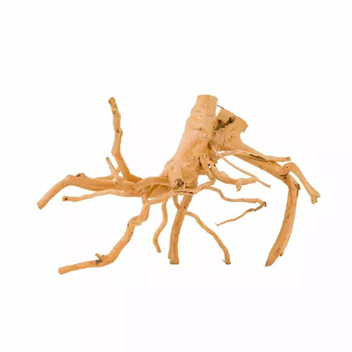 Korze� Spider do akwarium / terrarium 26-65cm