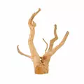 Korze� Spider do akwarium / terrarium 26-65cm