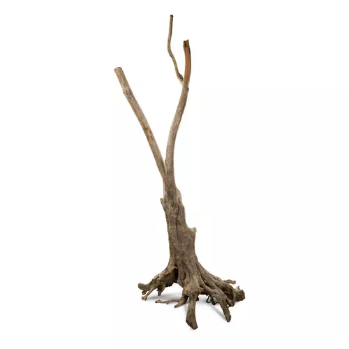 Korze� Twist Wood Root 50-200cm