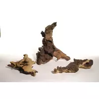 Korzenie Mopani (1kg) - rozmiar losowy