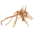 Korzenie ProGrow CRADLE WOOD [1kg] - rozmiar 10-30cm