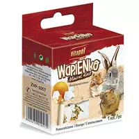 Kostka Wapienna Dla Gryzoni-Pomarańcza