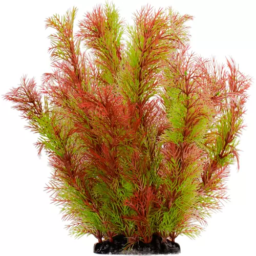 Kruger Meier Plant Riverweed - ro�linka sztuczna 