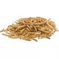 Larwy m�cznika, suszone, 200g
