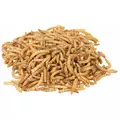 Larwy m�cznika, suszone, 70g