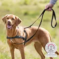 LeadnWalk Soft Szelki, S-M: 45-70cm/25mm, czarne